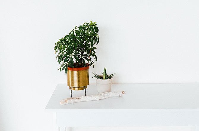 Xưởng Nội Thất TH